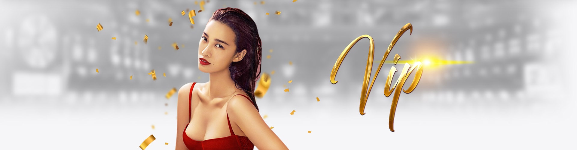 banner vip